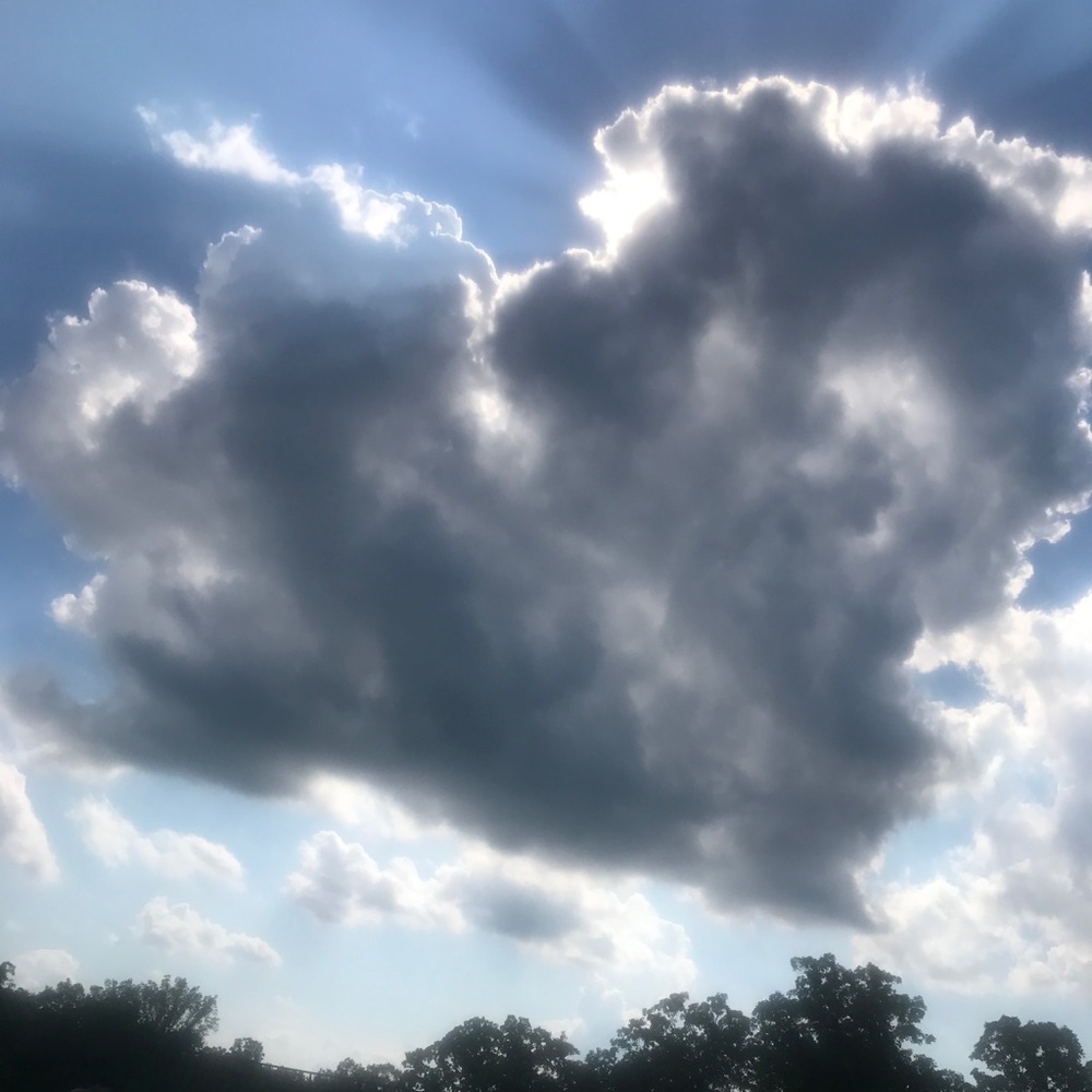 Meet your Posher, Gabby